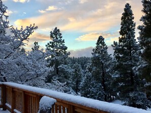 Property grounds - Log Cabin with a Mountain View. Secluded property with easy access to amenities (Durango)