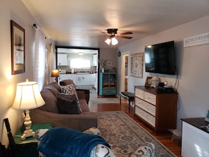 Smart TV, fireplace, DVD player, books