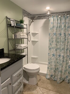 Shower, hair dryer, towels, soap