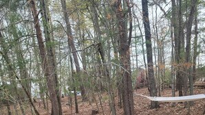 A wooden deck with a chair, a hammock, and a sandy area with trees in the background.