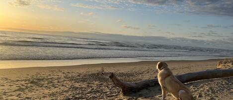 Aan het strand, ligstoelen aan het strand, strandlakens