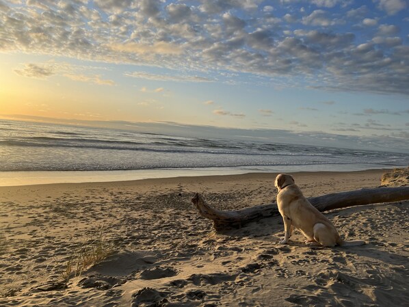 On the beach, sun-loungers, beach towels