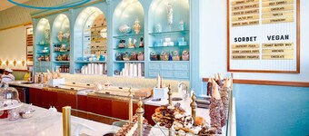 シティパークとマウンテンビューへのステップ - ダウンタウンへ数分！ たくさんのアメニティ！