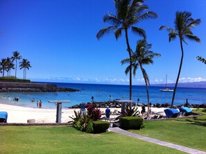 Playa en los alrededores, camastros y toallas de playa 