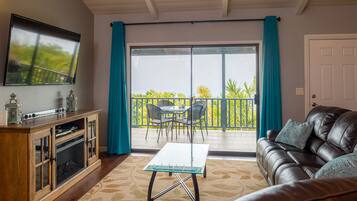 TV connectée, cheminée, jeux vidéo, livres