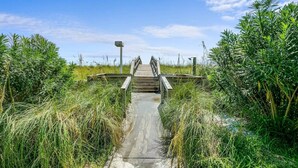 Una passera de fusta que condueix a un pont sobre una massa d'aigua, envoltada de vegetació densa.