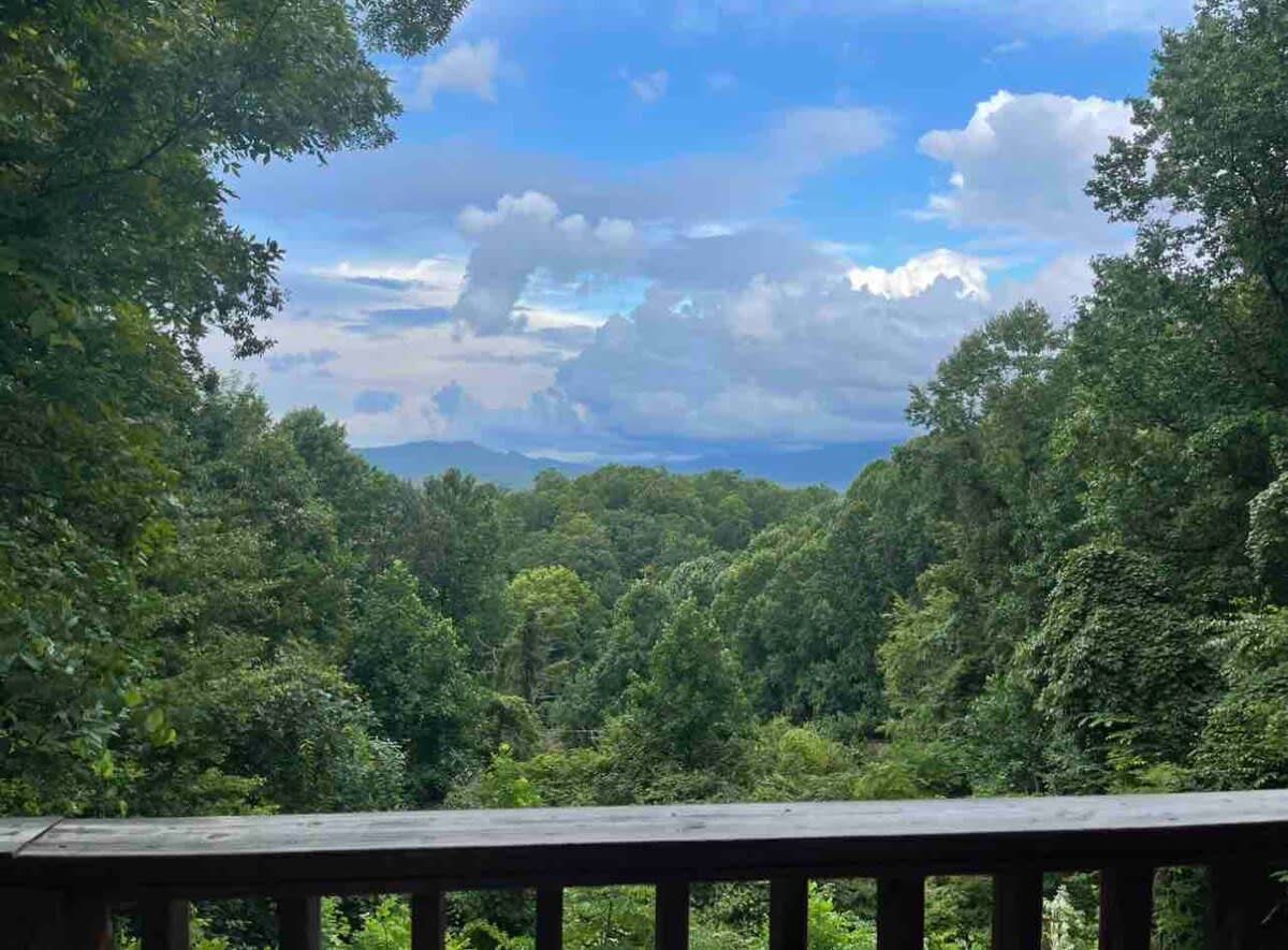 A forested landscape with a wooden deck in the foreground.