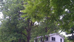 Une maison à deux étages avec un porche et un grand arbre devant.