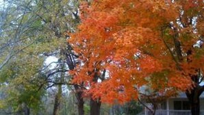Une maison dotée d’un porche, entourée d’arbres aux feuilles d’automne.
