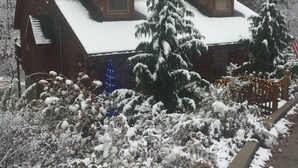 A cabin with a steeply pitched roof, surrounded by snow-covered trees and bushes.