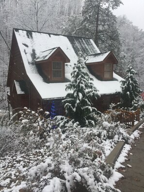 Exterior -  Specials “Luxury Vacation Home” 1 Gb WIFI, Jacuzzi, Roku, Game Room (Pigeon Forge)