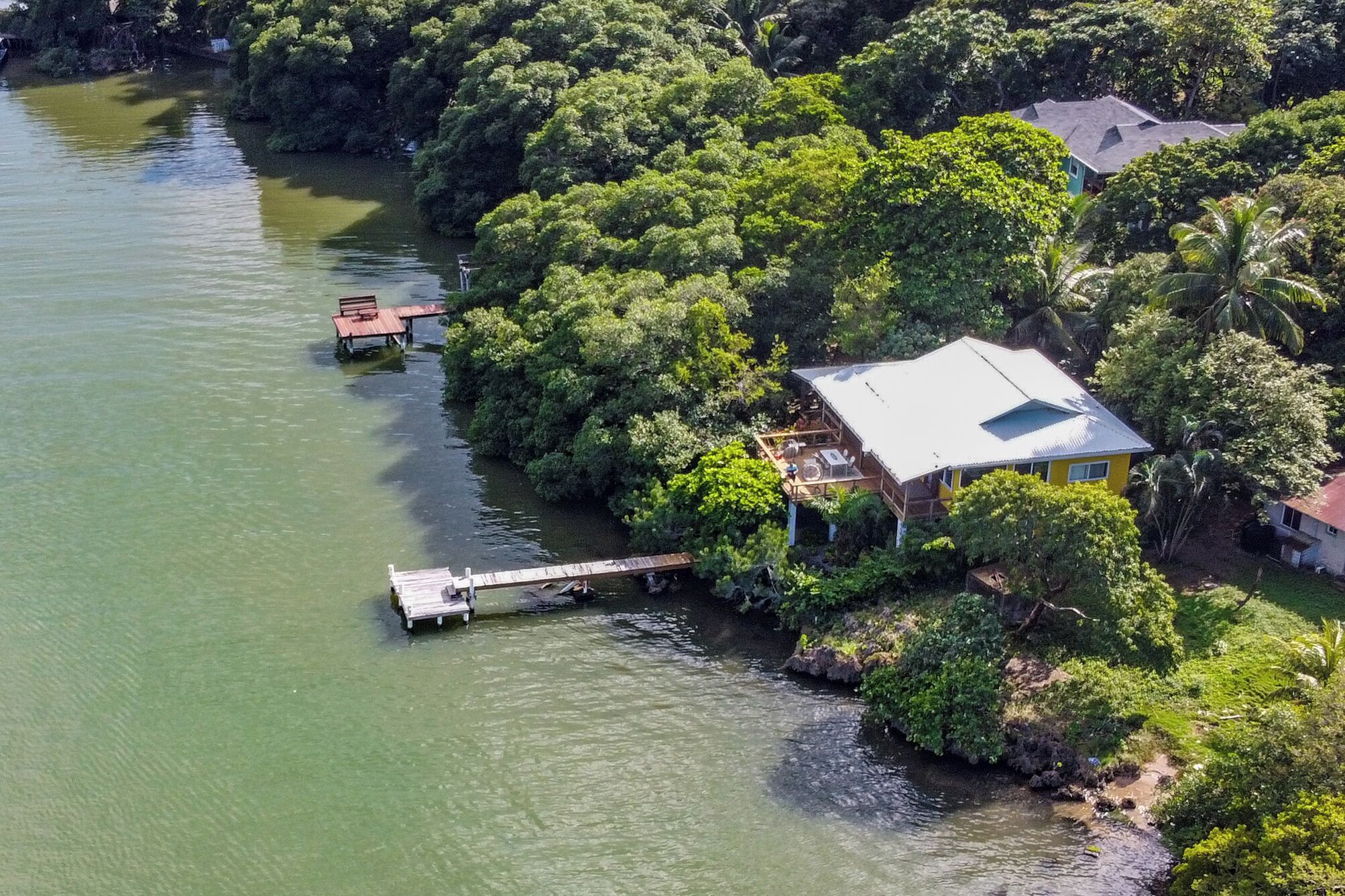 Vista aérea de una casa rodeada de abundante vegetación y una masa de agua, con un muelle que se adentra en el agua.