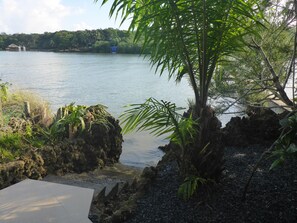 Property grounds - 1 Bedroom Waterfront Retreat w/ Dock Close to Dining, Diving, and Westend (West End)