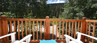 Bright w/ High Ceilings & Deck - 2 Blocks from Elk in Quiet Corner of Town w/EV!