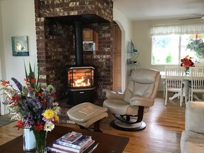 Älytelevisio, takka, videopelejä, DVD-soitin