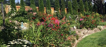 4 bdm home, Pets OK,  Fantastic Ocean Views. All 10 star reviews. Bird Paradise!