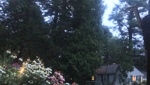 A garden with potted plants and a bench. - Guest Cottage on Country Estate (Watertown)