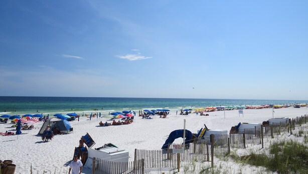 A beach with rows of umbrellas and beach chairs, a wooden fence, and a clear view of the ocean.