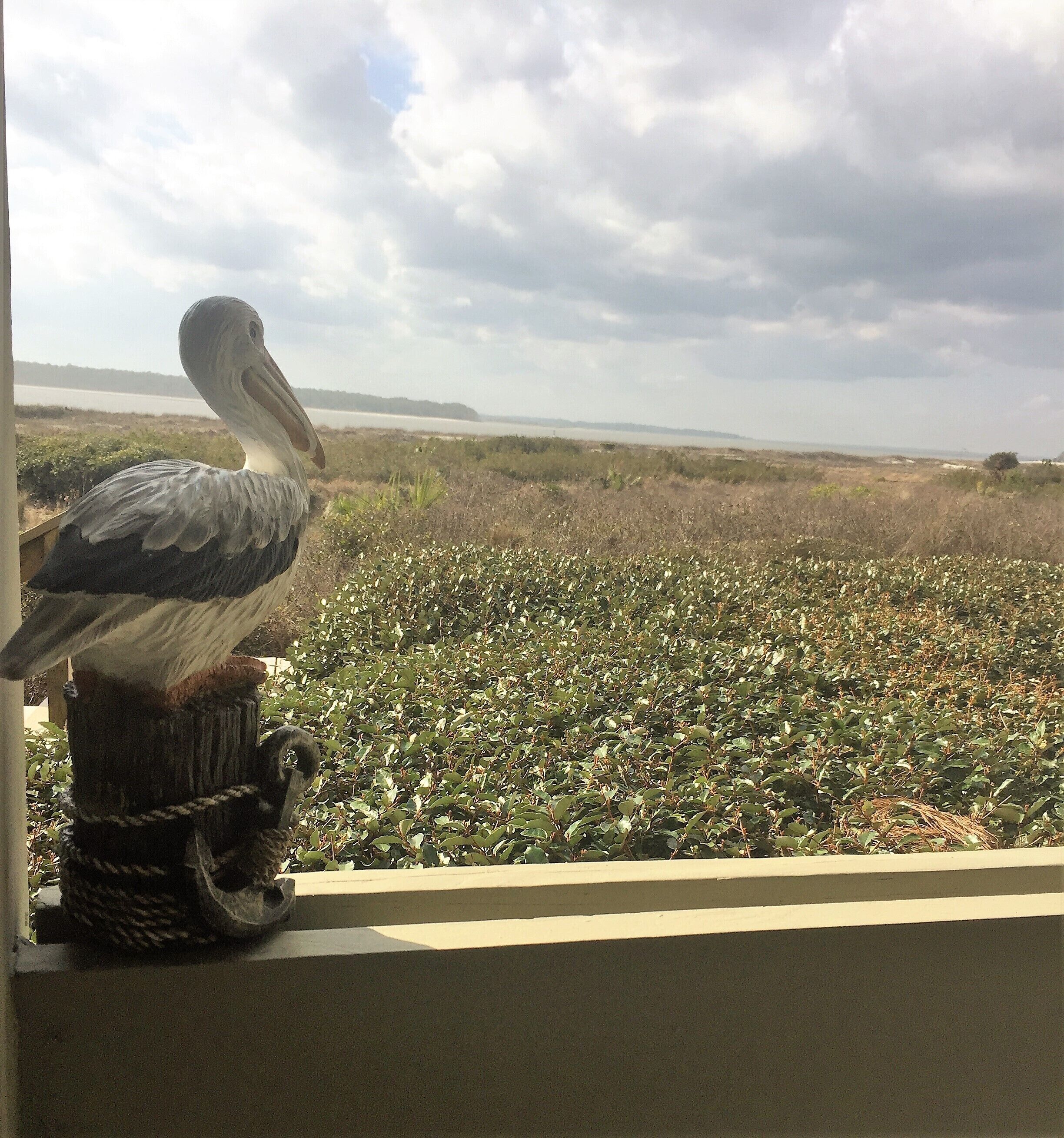 ON PELICAN BEACH! 1st Floor Villa, Pet Friendly, FREE Amenity Cards, Great Views