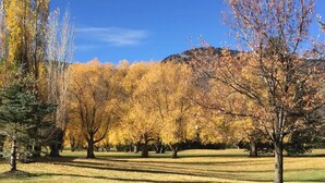 A park with trees displaying autumn foliage, a clear sky, and a hilly background.
