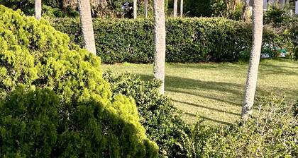Ocean Song - 5 Star Ocean View Beach Side with Pool Access