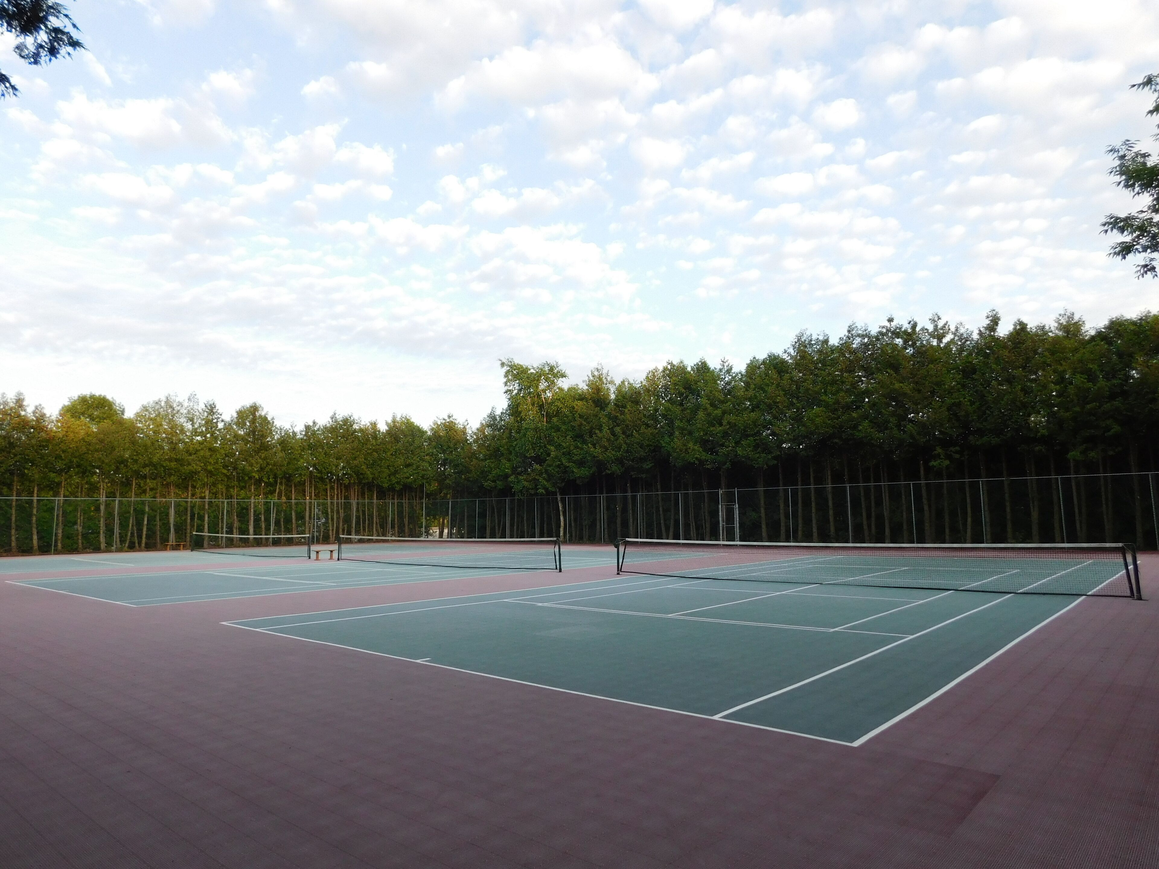 Un court de tennis avec un filet, entouré d’arbres et d’une clôture.
