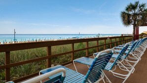 Une terrasse au bord de la plage, avec des rangées de chaises longues bleues et blanches, une rambarde en bois et un palmier.