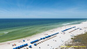 Une plage bordée de rangées de chaises de plage et de parasols bleus, une étendue de sable et l’océan en toile de fond.