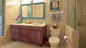 Shower, hair dryer, towels