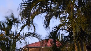 A building with a red roof and a covered outdoor area, surrounded by palm trees and pink flowers. - PREMIER HOST Private 3 bdrm, 1600 sq ft Fully Air-Conditioned villa in Blue Bay (Sint Michiel)