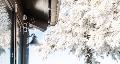 A TRUE slope side ski in ski out cabin with amazing views.