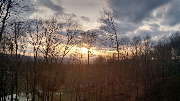 Unclassified image, 1 of 17, button