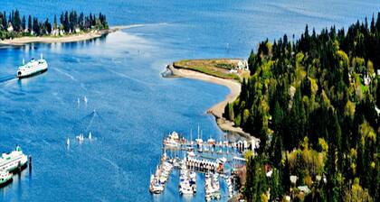 Simple Living at Luxurious, Modern Farmhouse on Bainbridge Island. Dogs ok.
