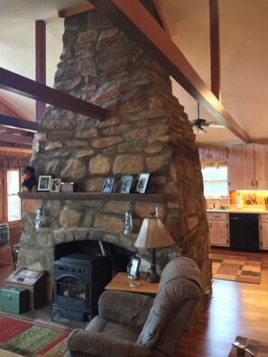 Televisión, chimenea, reproductor de DVD y libros 