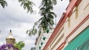 Una calle con mesas al aire libre en un restaurante llamado BRASS HORSE BAR & GRILL.