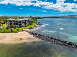 On the beach - Direct Beachfront with Spectacular Oceanviews! (Wailuke)