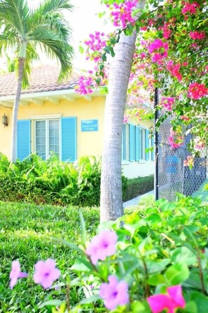 Property grounds - VILLA RENAISSANCE 603,1BR located Grace Bay. Easter weekend special. (Grace Bay)