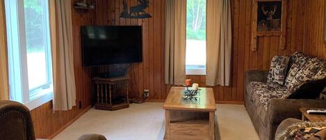 TV, DVD player, video library