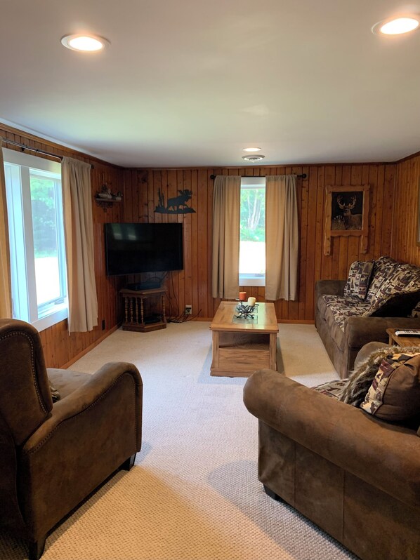 TV, DVD player, video library