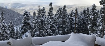 The Alice Cabin in Winterland!