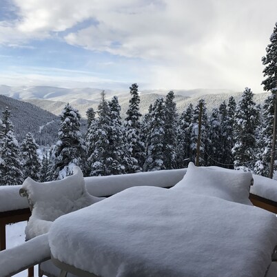 The Alice Cabin in Winterland!