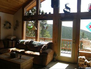 TV connectée, cheminée, lecteur de DVD, livres