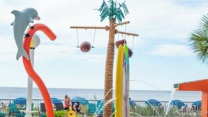 A water play area with a dolphin sculpture, a swing set, and a pool.