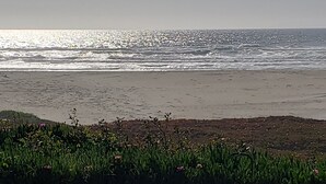 Une plage avec des vagues, un ciel dégagé et un jardin avec des fleurs roses au premier plan.