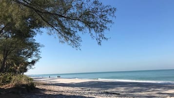 On the beach, sun loungers, beach towels