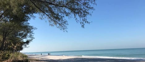 在海滩、沙滩椅、沙滩毛巾