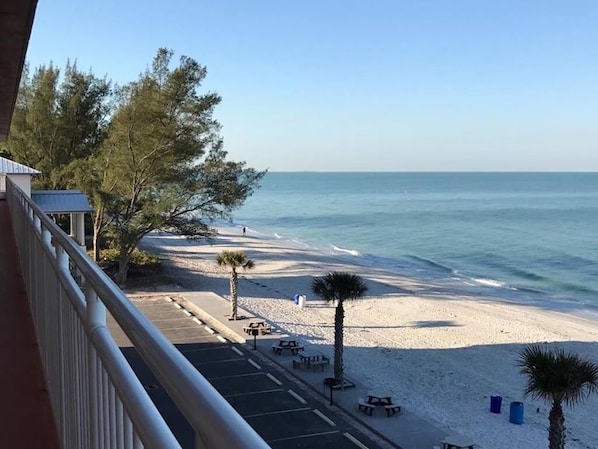 Uitzicht op het strand vanaf een balkon, met een heldere lucht, palmbomen en een zandstrand met picknicktafels.