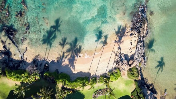 An aerial view of a beach with clear turquoise water, palm trees, and a sandy shore. - Villa 6 (Kihei)