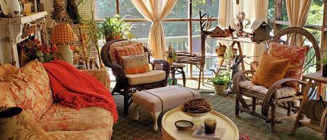 Televisión, reproductor de DVD y videoteca