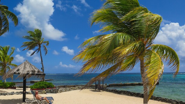 A beach with a thatched hut, palm trees, and a clear blue sky.